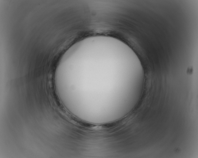 X0000112960269200908270926