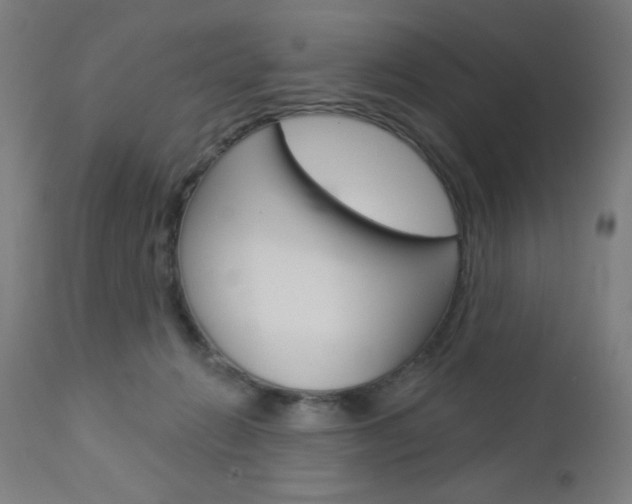 X0000112960270200908270926