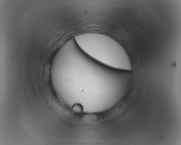 X0000112960271200908270926
