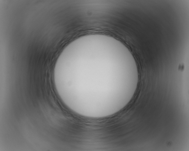 X0000112960272200908270926