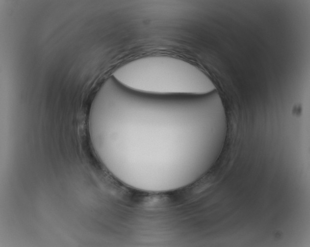 X0000112960274200908270926