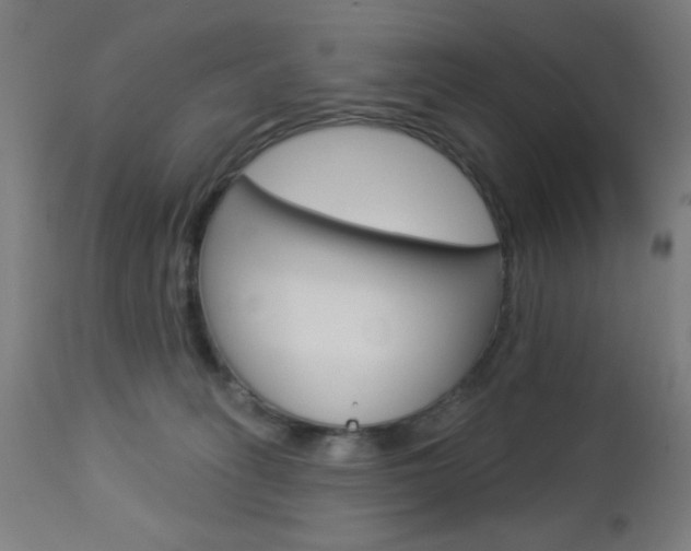X0000112960275200908270926