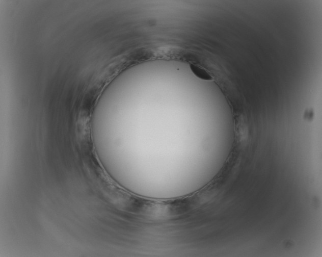 X0000112960276200908270926