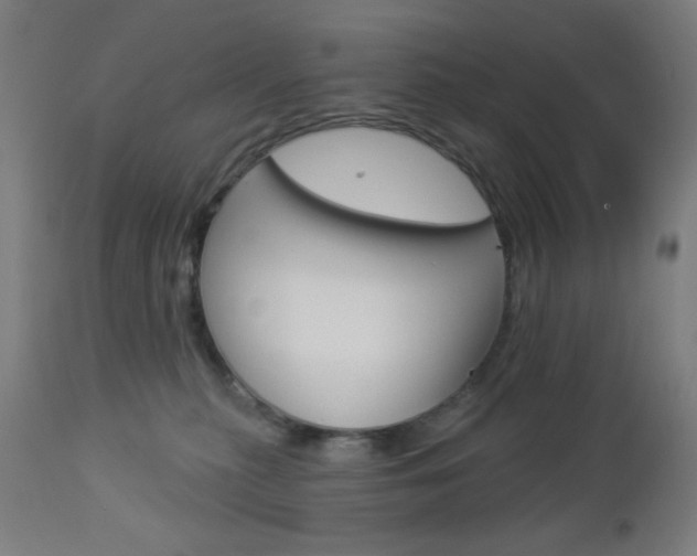 X0000112960279200908270926