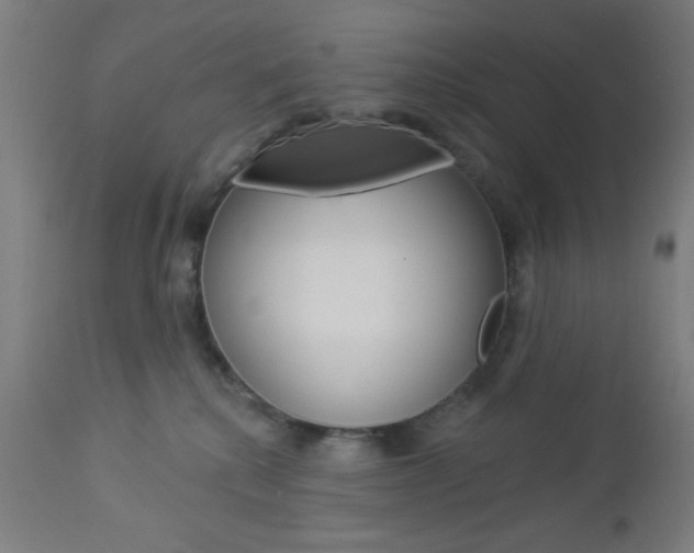 X0000112960280200908270926