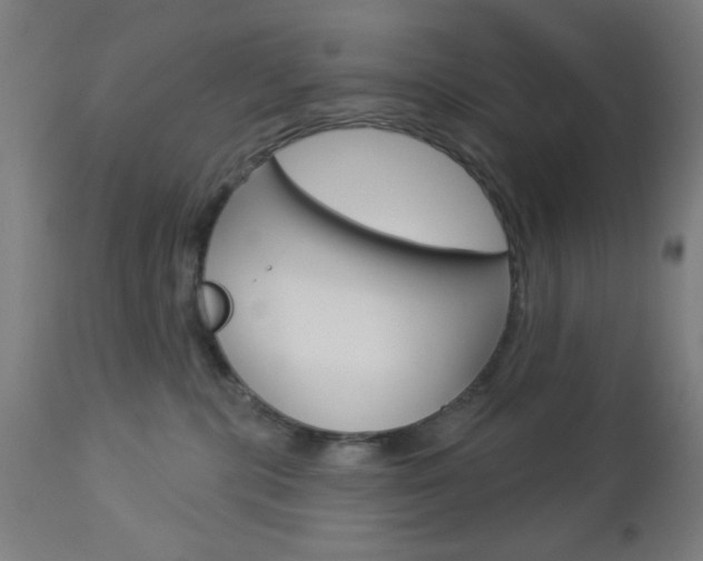 X0000112960283200908270926