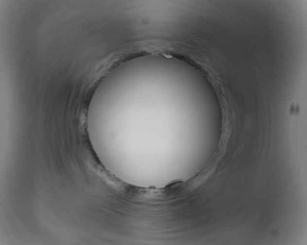 X0000112960288200908270926