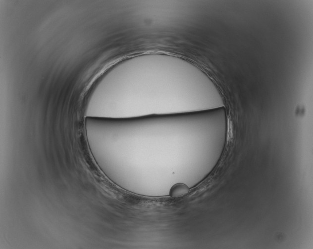 X0000112960291200908270925