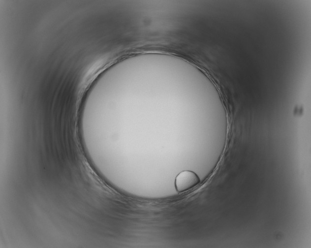 X0000112960293200908270925