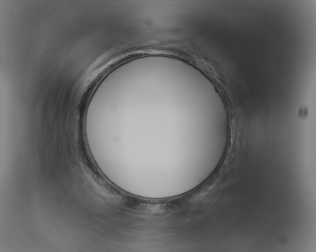 X0000112960295200908270925