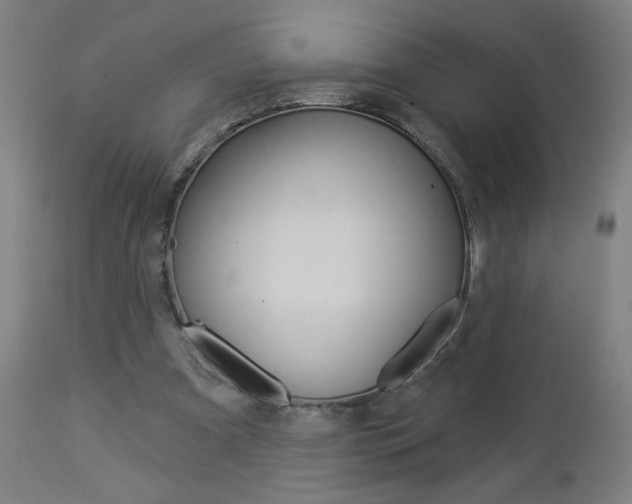 X0000112960297200908270925