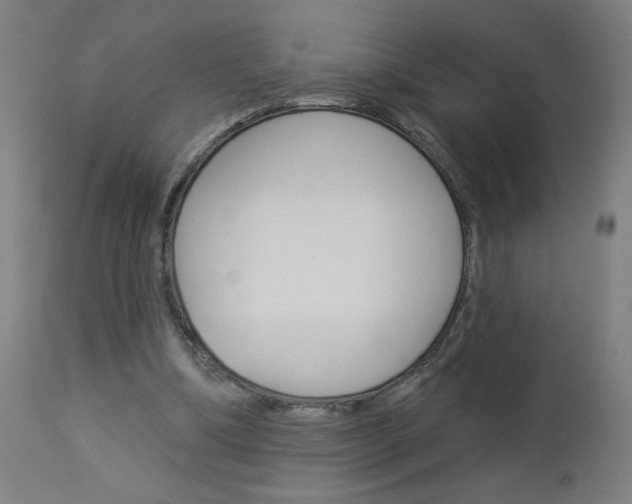 X0000112960298200908270925