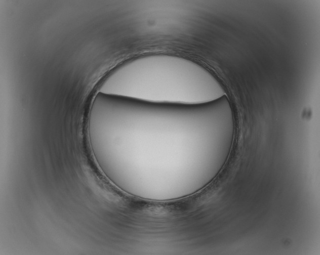 X0000112960299200908270925