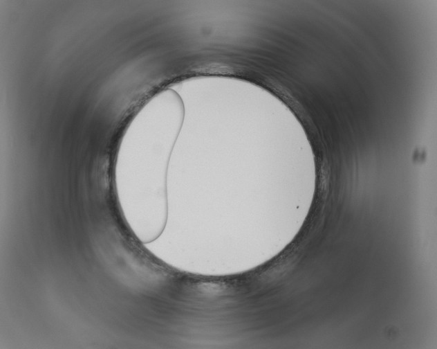 X0000112960302200908270925