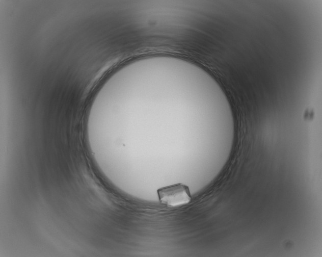 X0000112960304200908270925