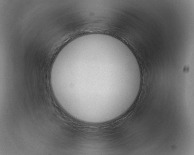 X0000112960309200908270925