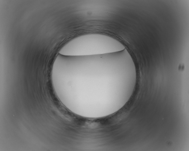 X0000112960311200908270925