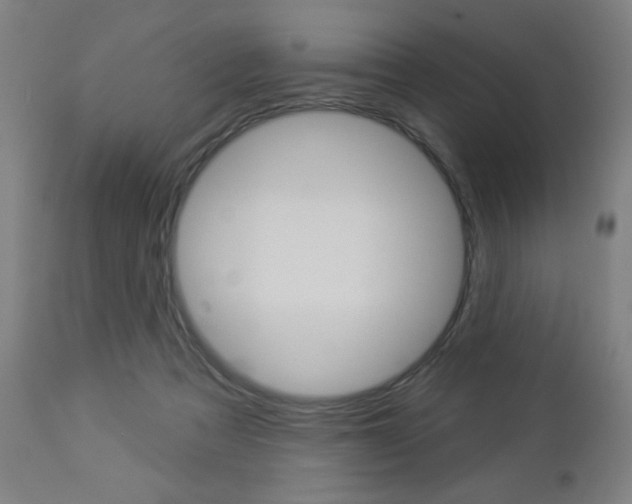 X0000112960313200908270925
