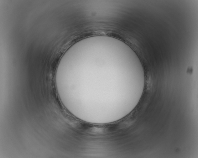 X0000112960314200908270925