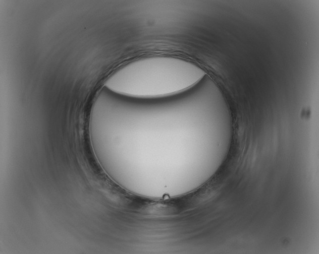 X0000112960315200908270925