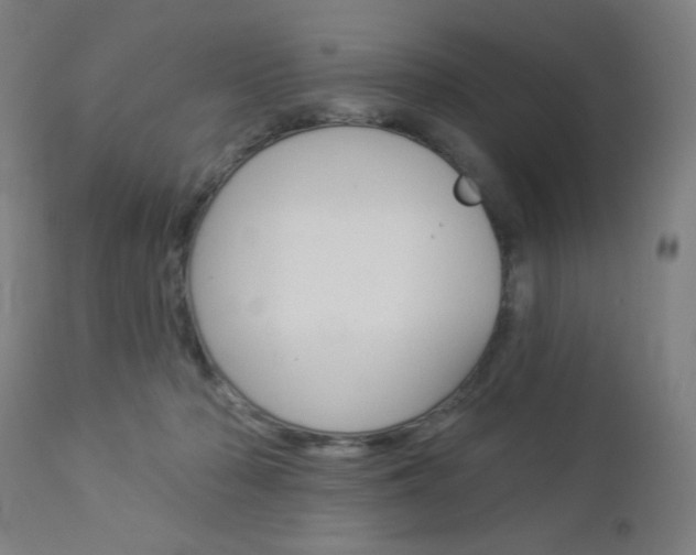 X0000112960318200908270925