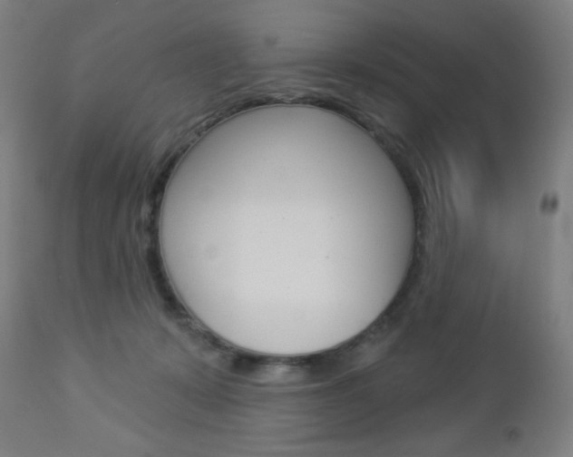 X0000112960319200908270925
