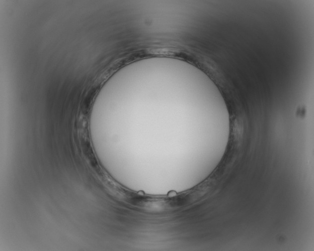 X0000112960322200908270925