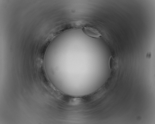 X0000112960324200908270925