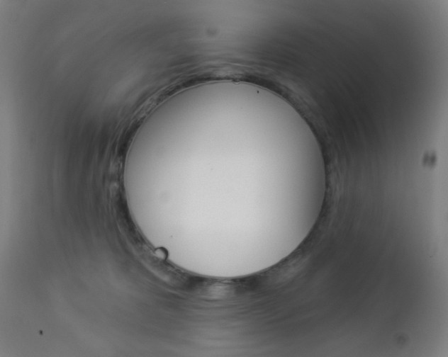 X0000112960325200908270925