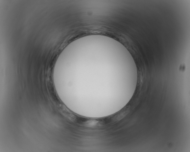 X0000112960326200908270925