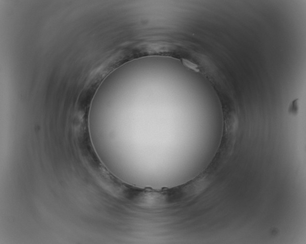 X0000112960327200908270925