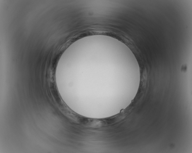 X0000112960330200908270925