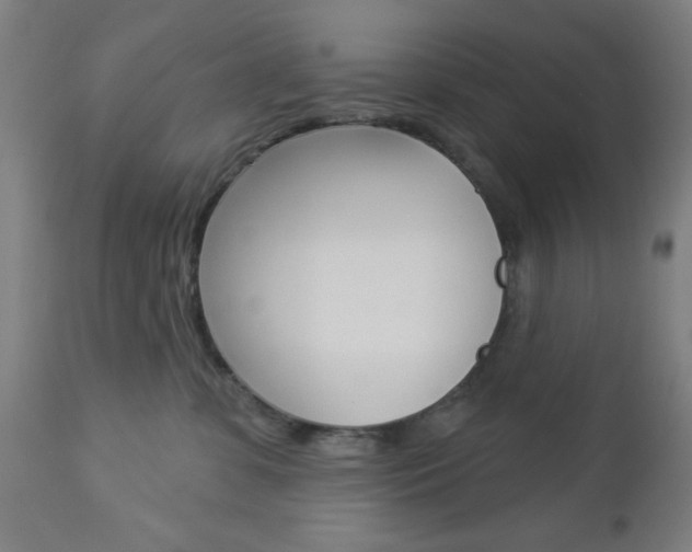 X0000112960331200908270925
