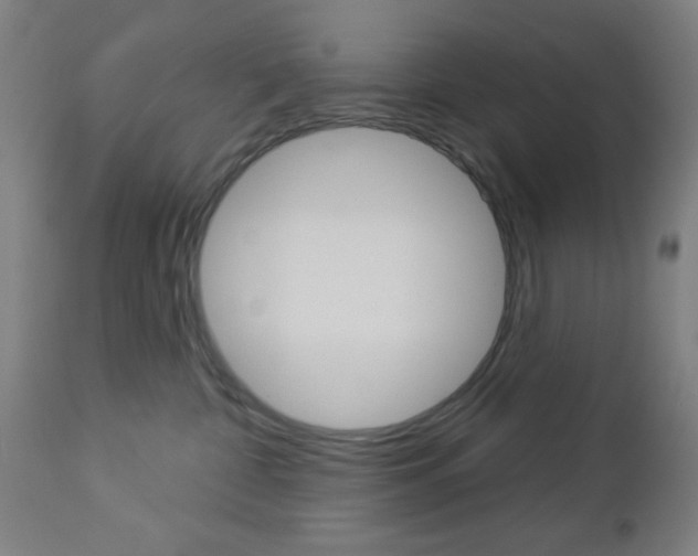 X0000112960332200908270925