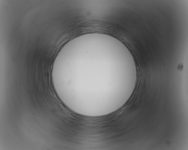 X0000112960333200908270925