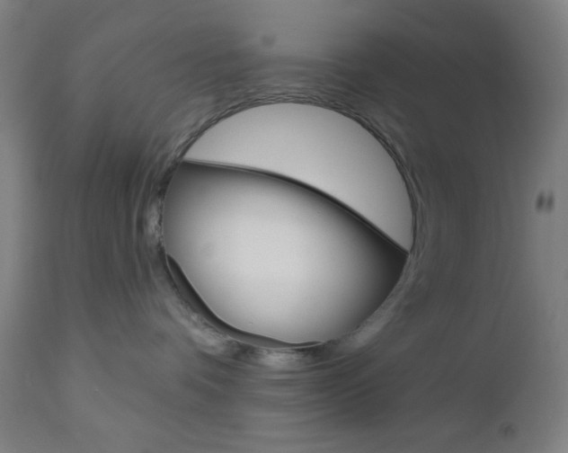 X0000112960336200908270925