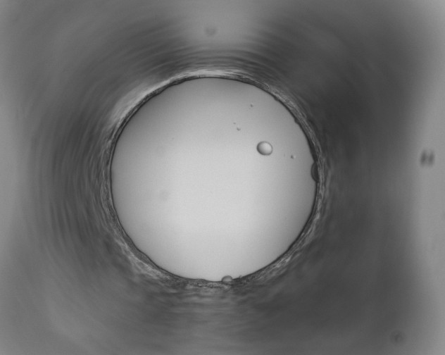 X0000112960337200908270924