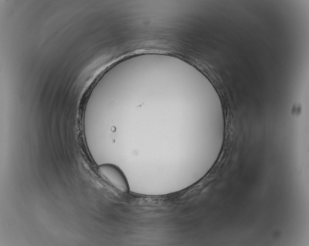 X0000112960338200908270924
