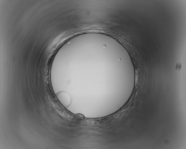 X0000112960339200908270924