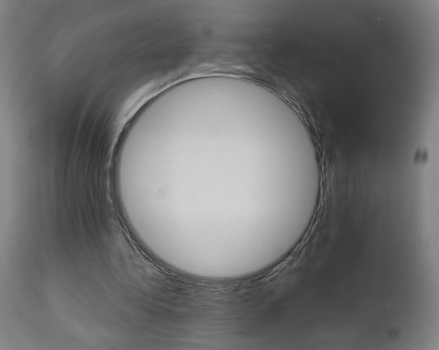 X0000112960340200908270924