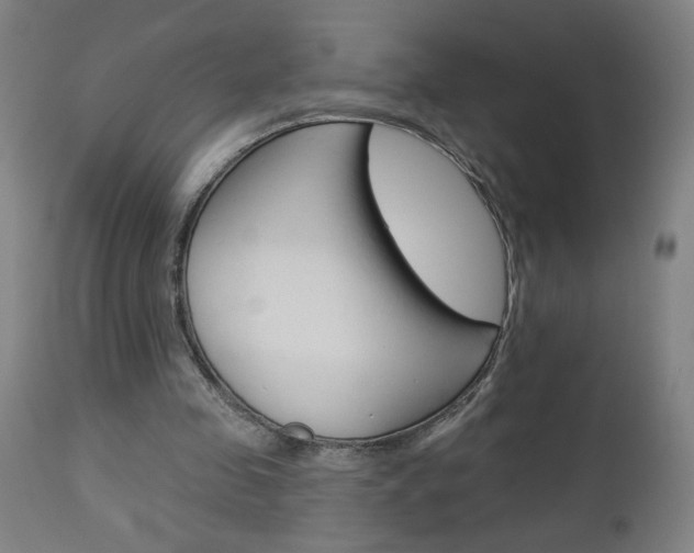 X0000112960341200908270924