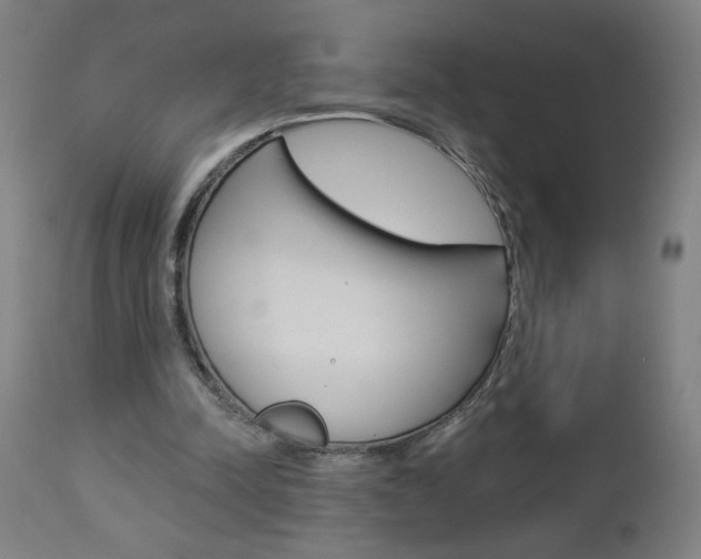 X0000112960342200908270924