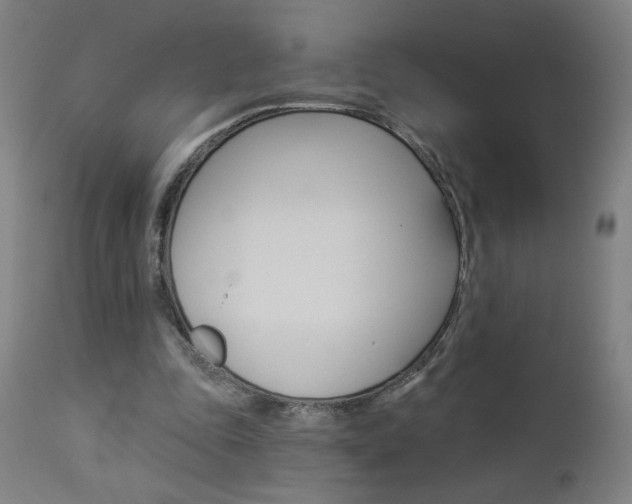 X0000112960343200908270924