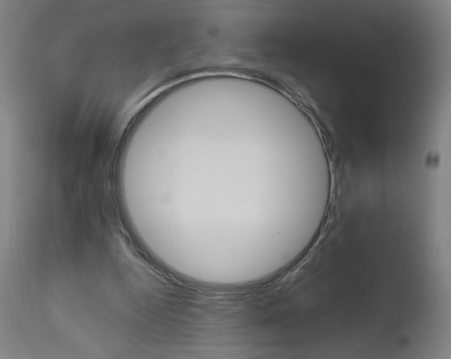 X0000112960344200908270924