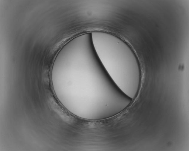 X0000112960345200908270924