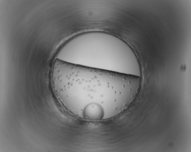 X0000112960346200908270924