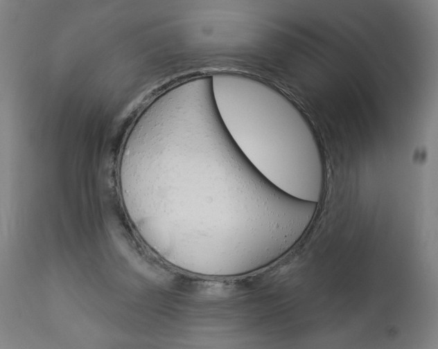 X0000112960347200908270924