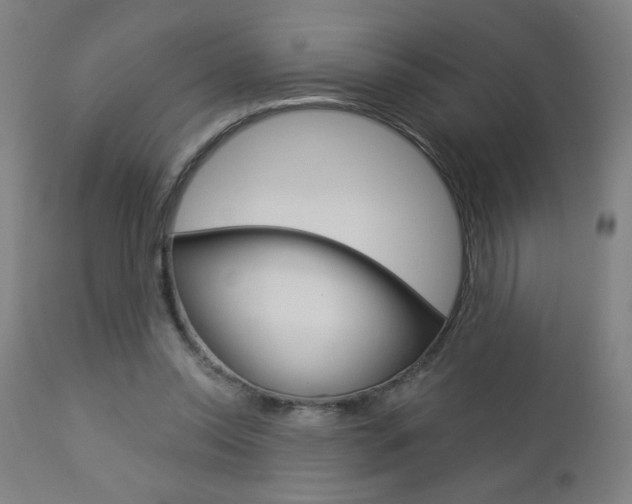 X0000112960350200908270924