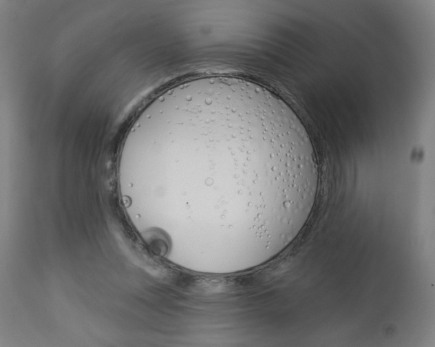 X0000112960351200908270924