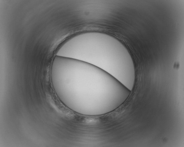 X0000112960352200908270924